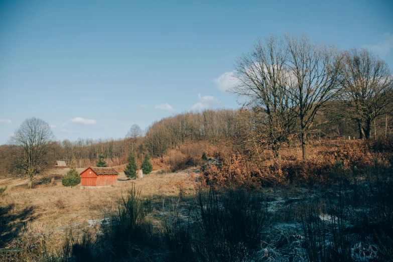 a barn in a pasture during the day