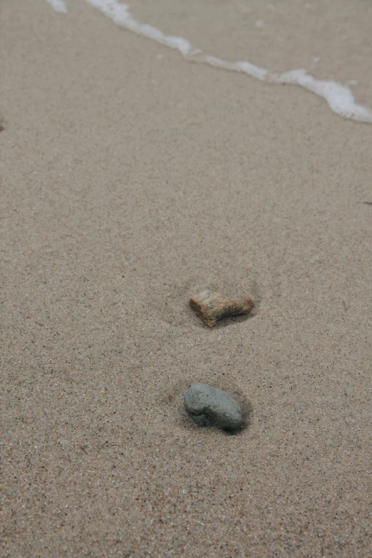 some small rocks in the sand near a beach