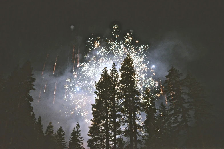 a large fireworks over trees in the dark