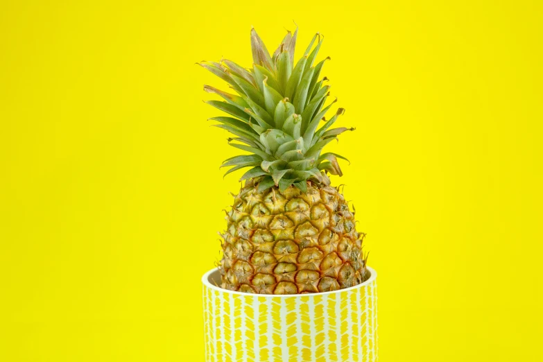 a pineapple in a blue and white patterned pot