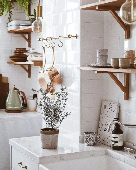 a kitchen that has plants on top of a counter