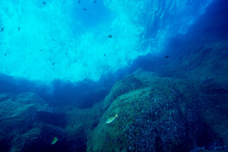 an underwater view of the underwater surface