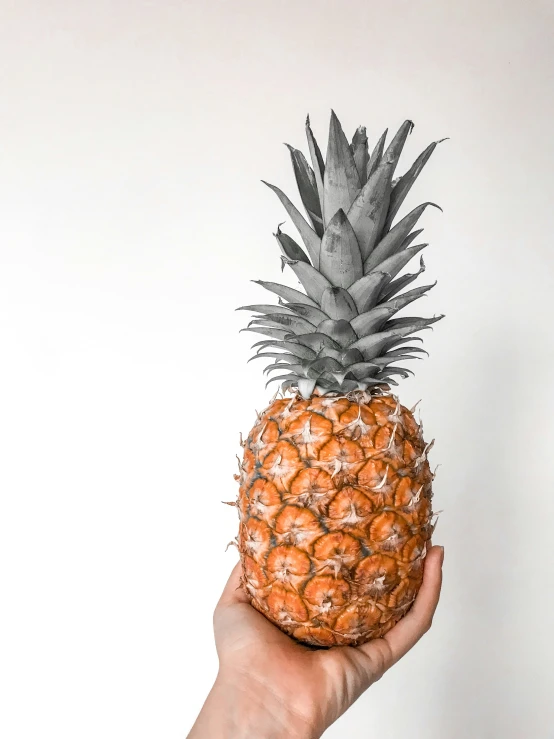 a hand holding a pineapple that is almost a whole