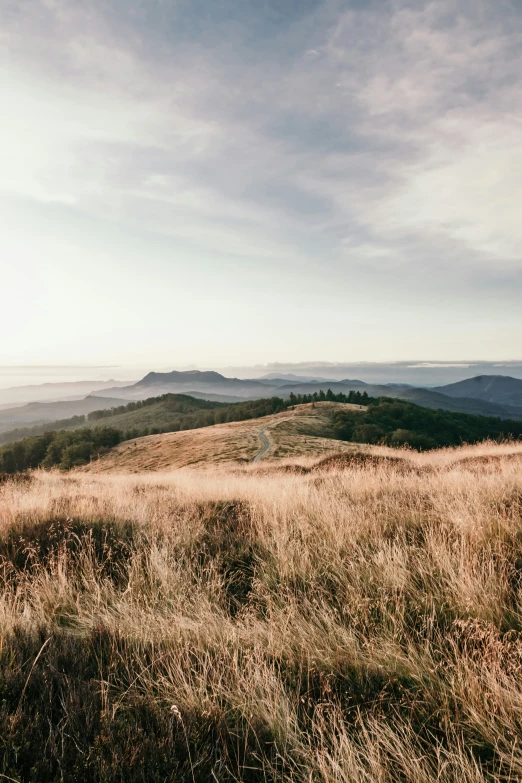 a view of grassy land on a hill with mountains in the background