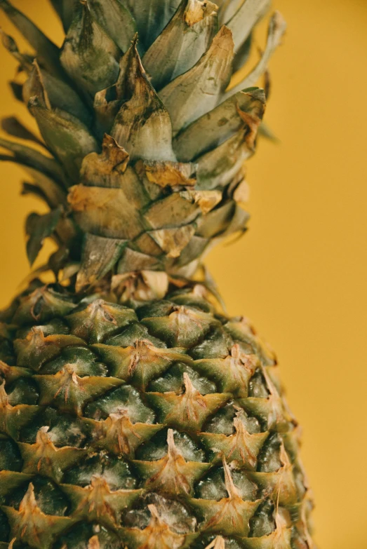 a pineapple is still in the middle of the picture