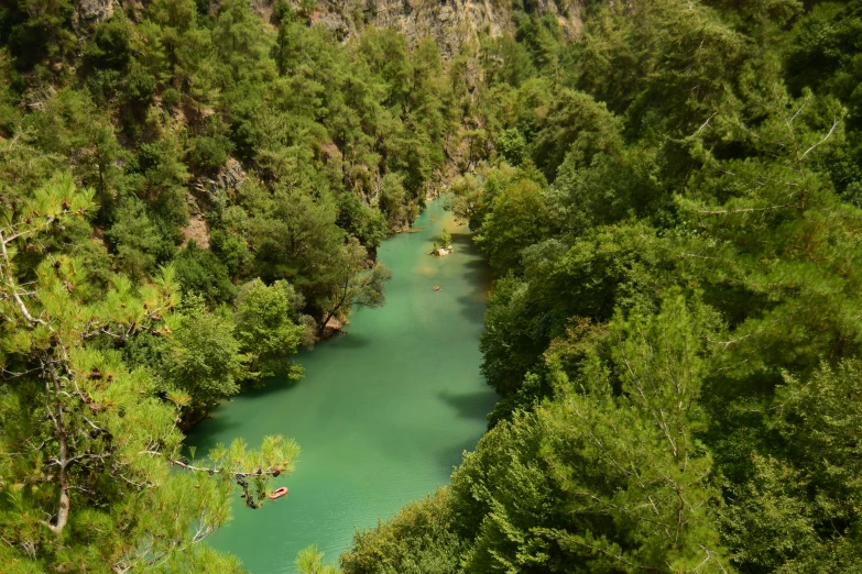 several canoers paddle down a turquoise river surrounded by lush green woods