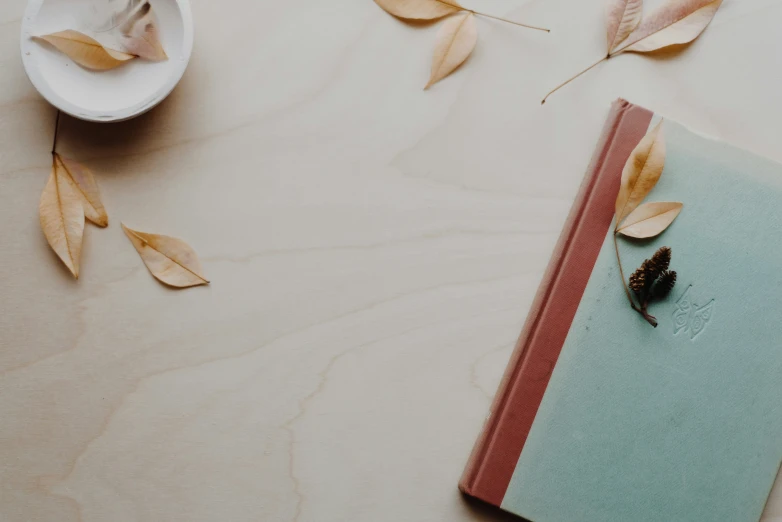 a notebook with two leaves and a spoon