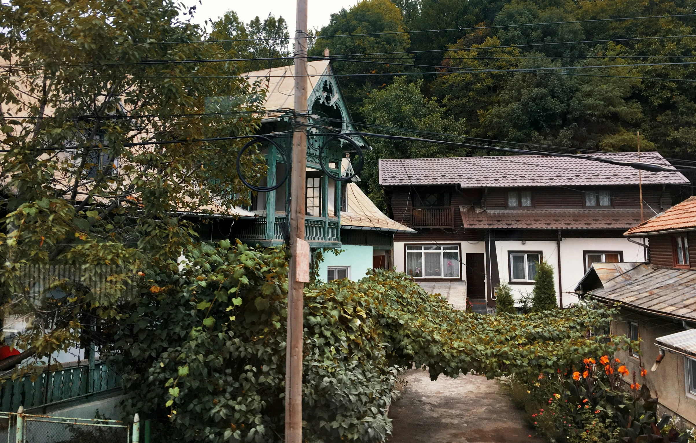 there is a house surrounded by many oranges