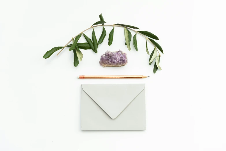 an envelope and dried flowers next to some leaves