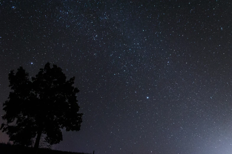 a night sky full of stars and trees