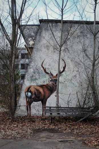 an deer stands in front of a painted wall and tree