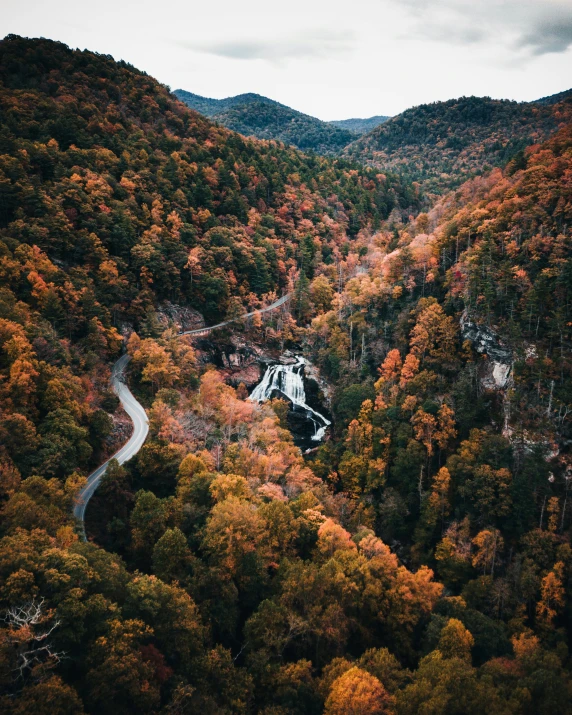 a narrow winding road through a forest surrounded by mountains