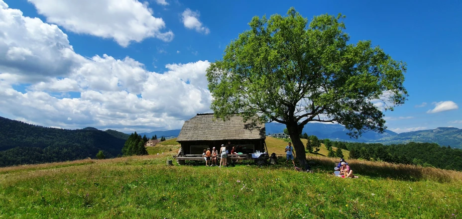 several people sitting on the edge of a hillside under a tree