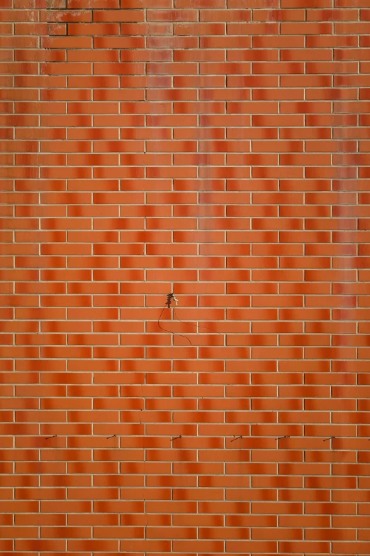 a white teddy bear in a red and black hat is near a brick wall