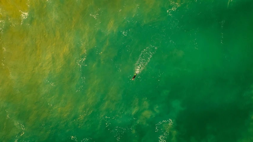 the view from an airplane is of a green ocean