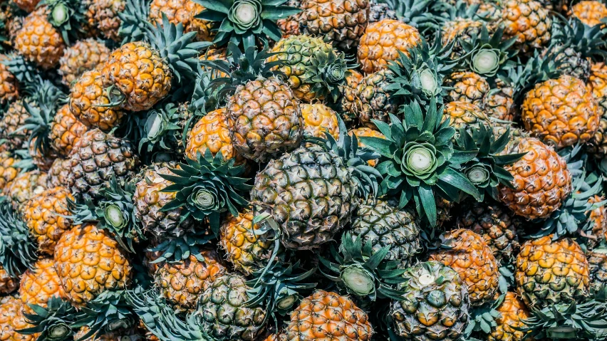 a lot of fruit is being displayed with different colors