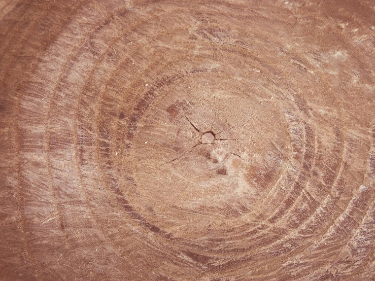 an old tree trunk is depicted in this image