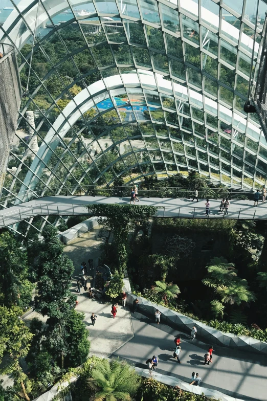 the interior view of the garden dome at gardens by the bay, singapore