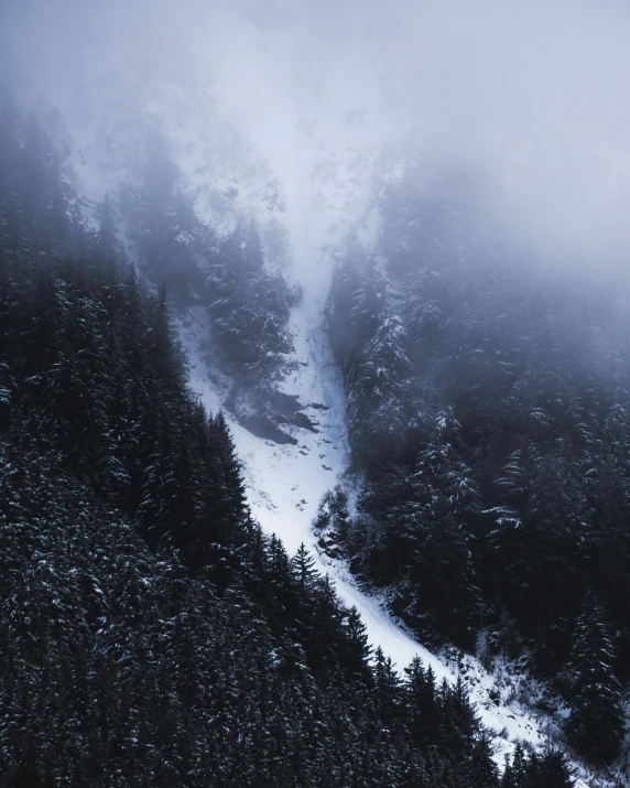 a ski trail covered in snow and fog next to trees