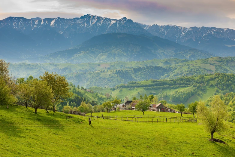 the green grassy field in front of a large mountain range