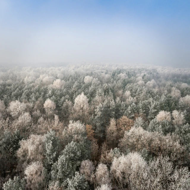 a field that has snow all over it