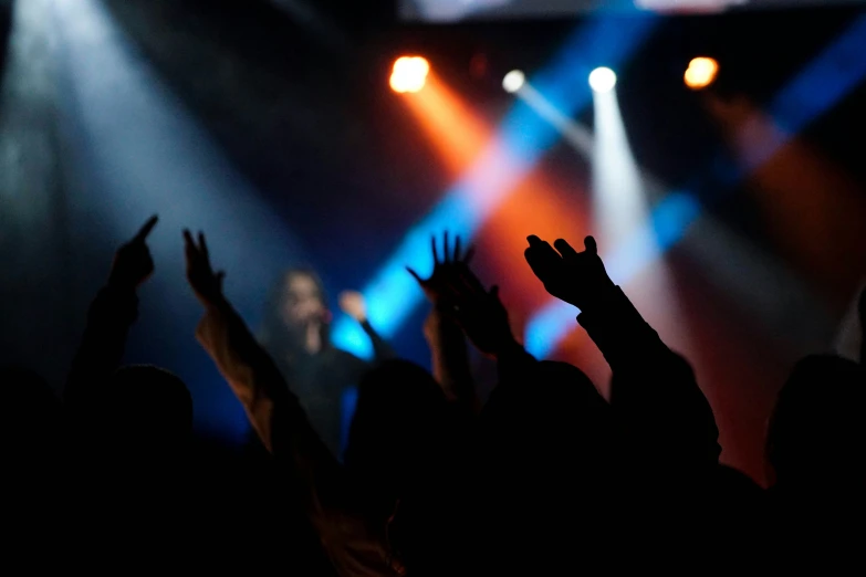 some people at a concert are silhouetted