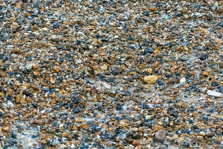 large amount of rocks with white and blue speckles on them