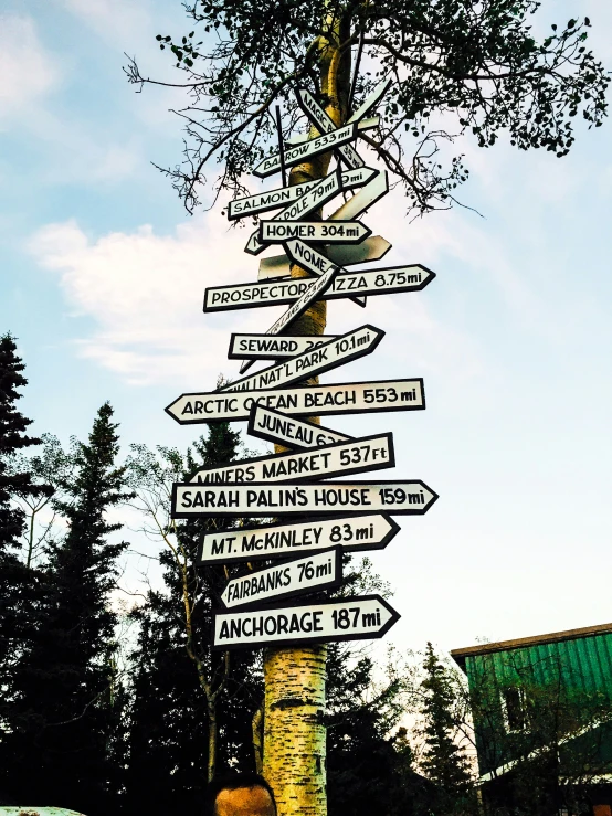 a group of road signs with trees in the background