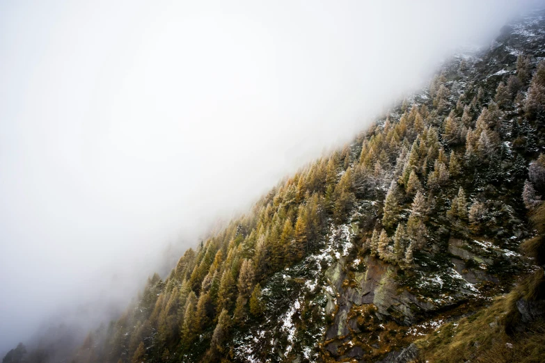 an image of fog rising up the hillside