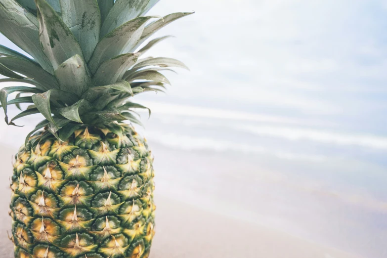 a pineapple sitting in the sand at the beach