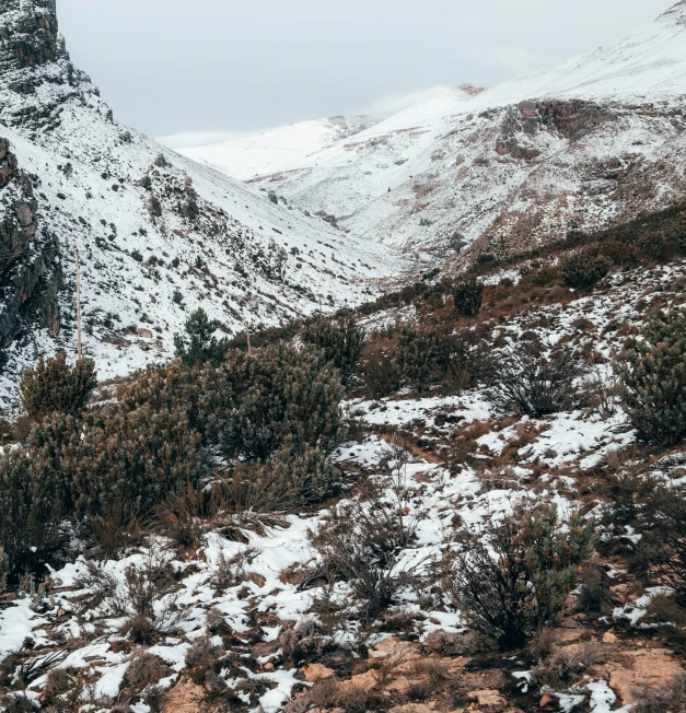 snow covering the mountains around a wooded area