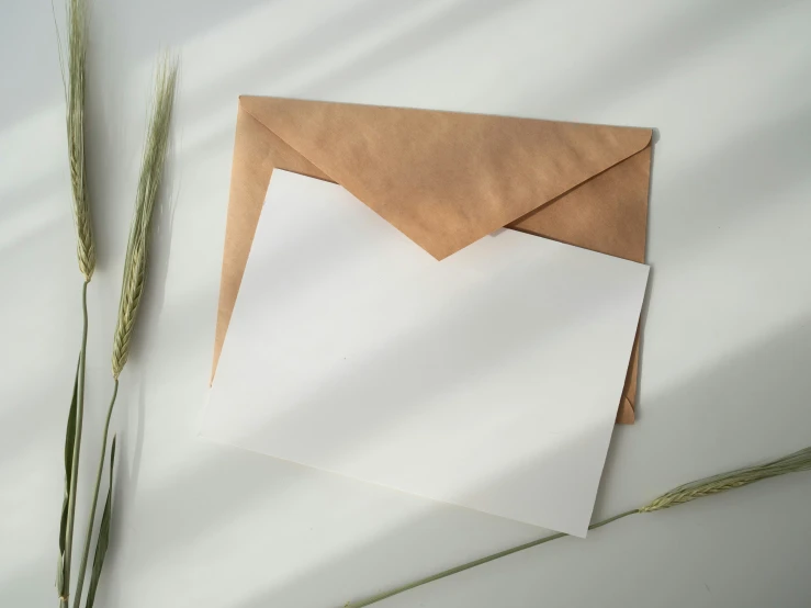 a piece of paper sitting on top of a counter