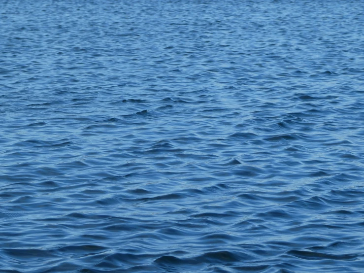 the blue water is almost all calm, and there are waves in it