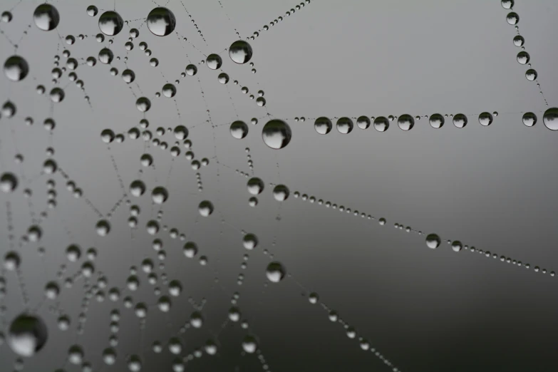 drops of water cover a window with a spider web design