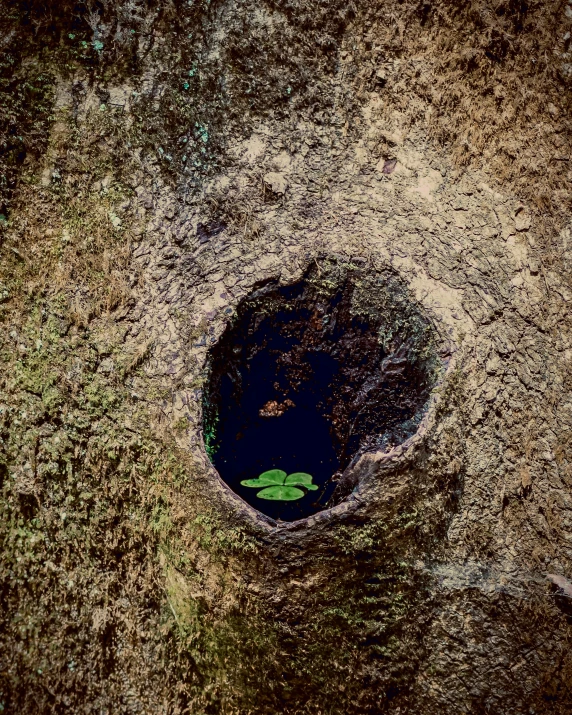 a hole on the ground with grass inside