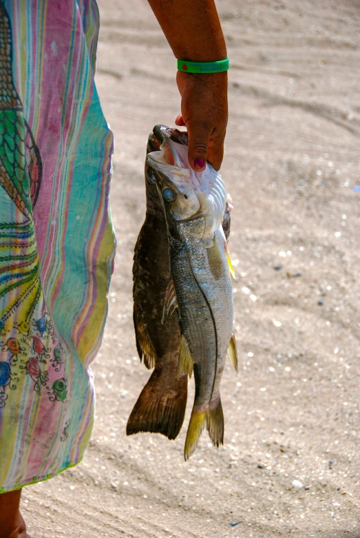 a fish on a persons hand with another in the background