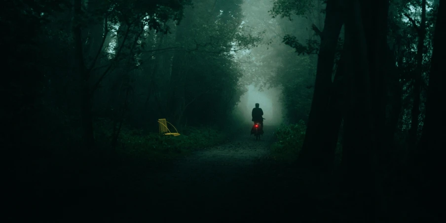 a man walking down a dirt road through a forest