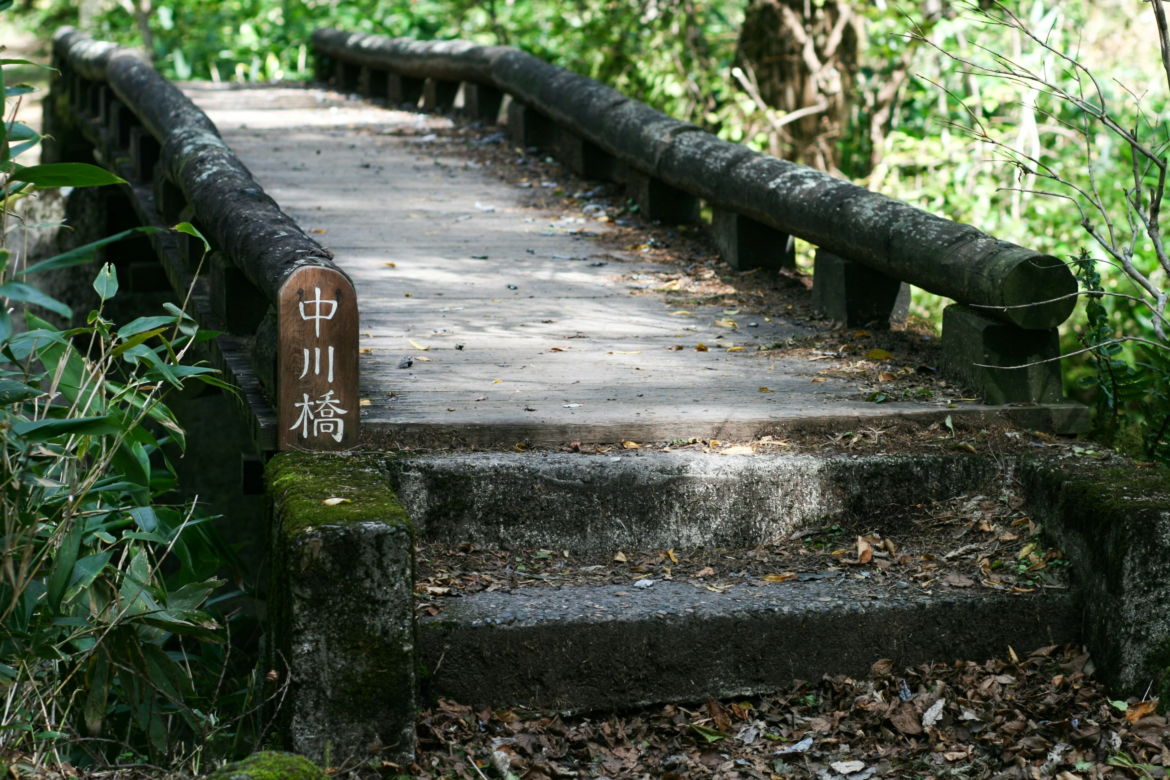 concrete steps lead to the woods in the forest