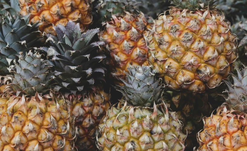 a group of pineapples sitting next to each other