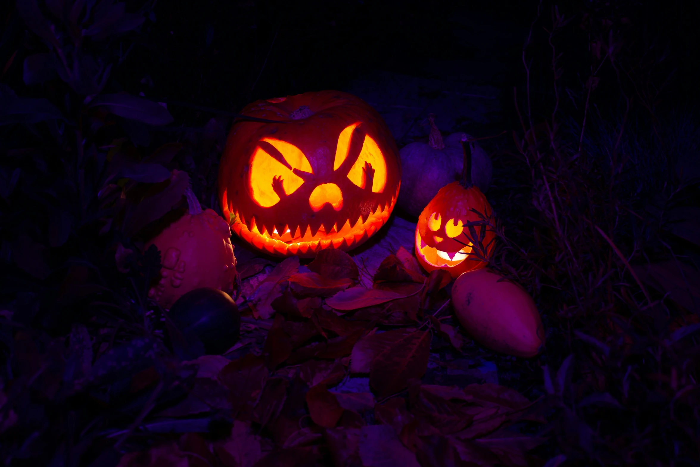 two pumpkins with faces carved into them