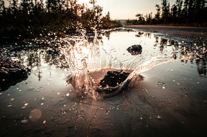 an image of a boat in the mud