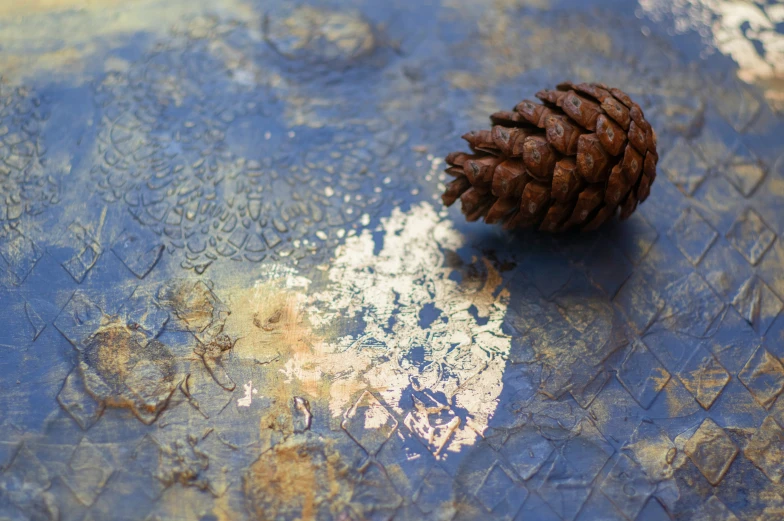 there is a small pine cone on the surface