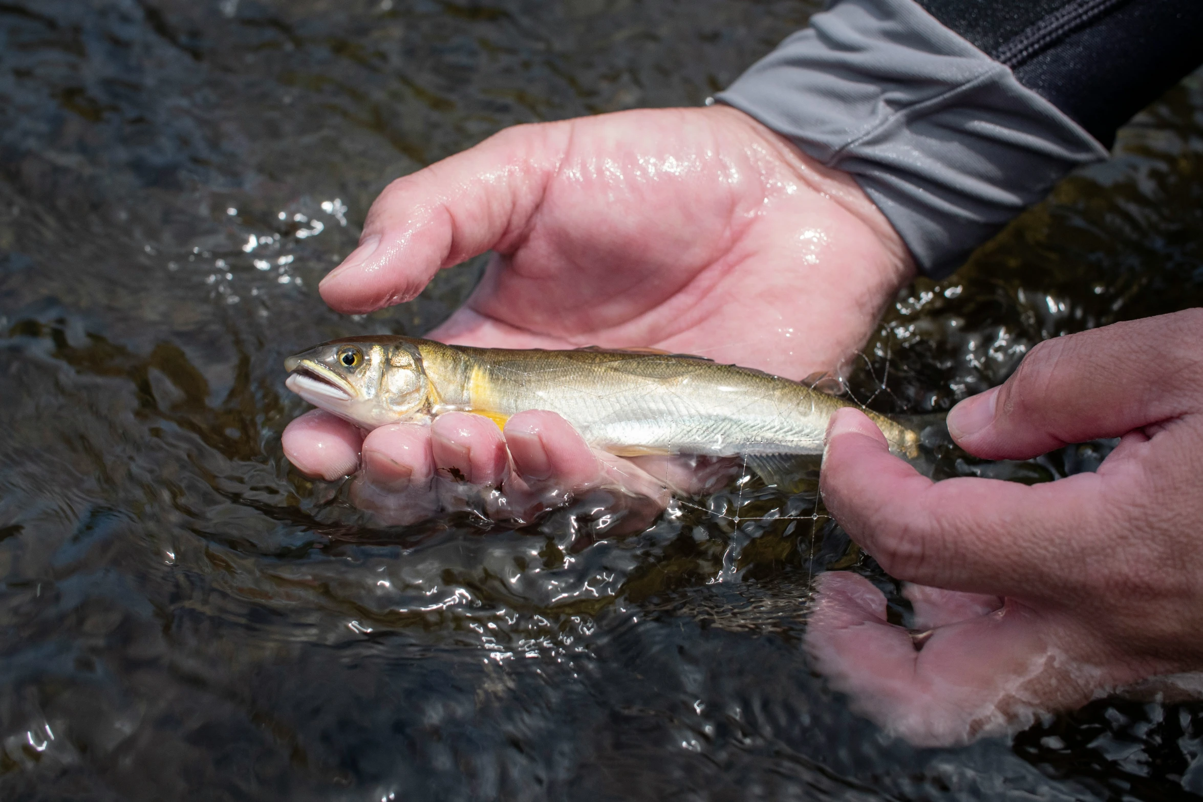 an angle view of the body of water with someone holding a fish