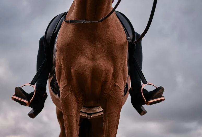 a person sitting on a brown horse near a black sky