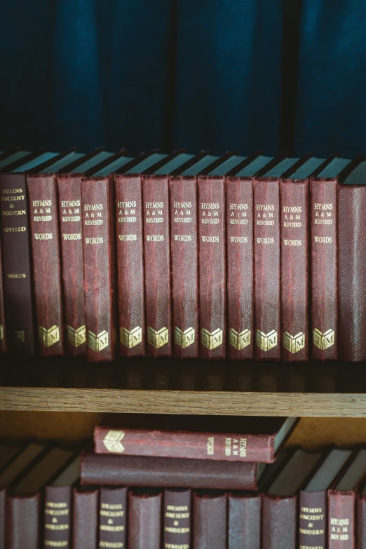 several books that are sitting on a wooden shelf