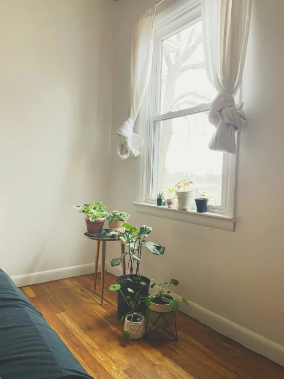 a bed sitting next to a window filled with lots of plants