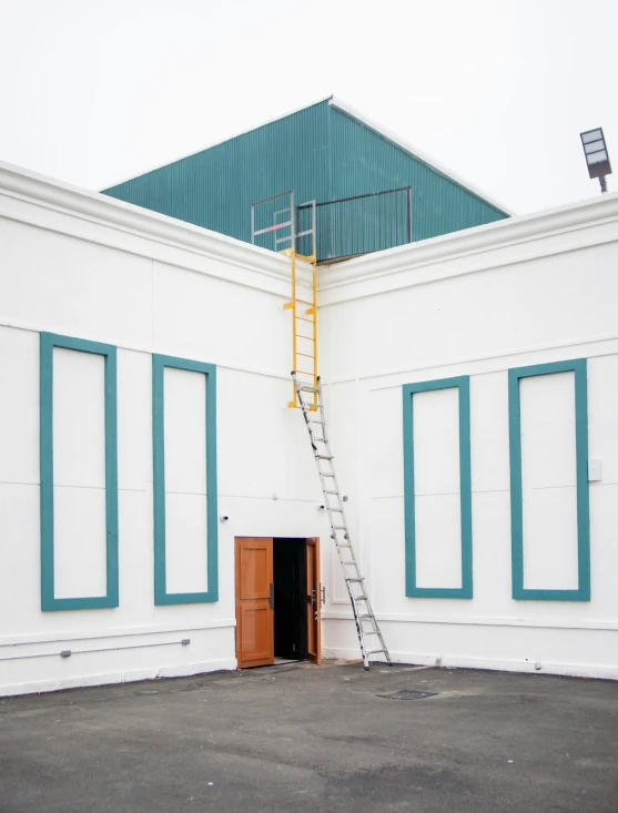 a small ladder is attached to the wall to keep on to what seems to be a door