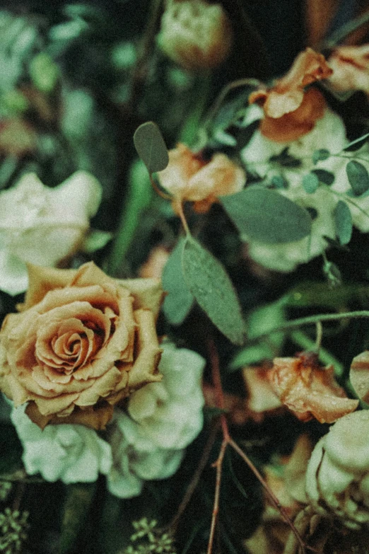 small orange rose blooms on an arrangement in a garden