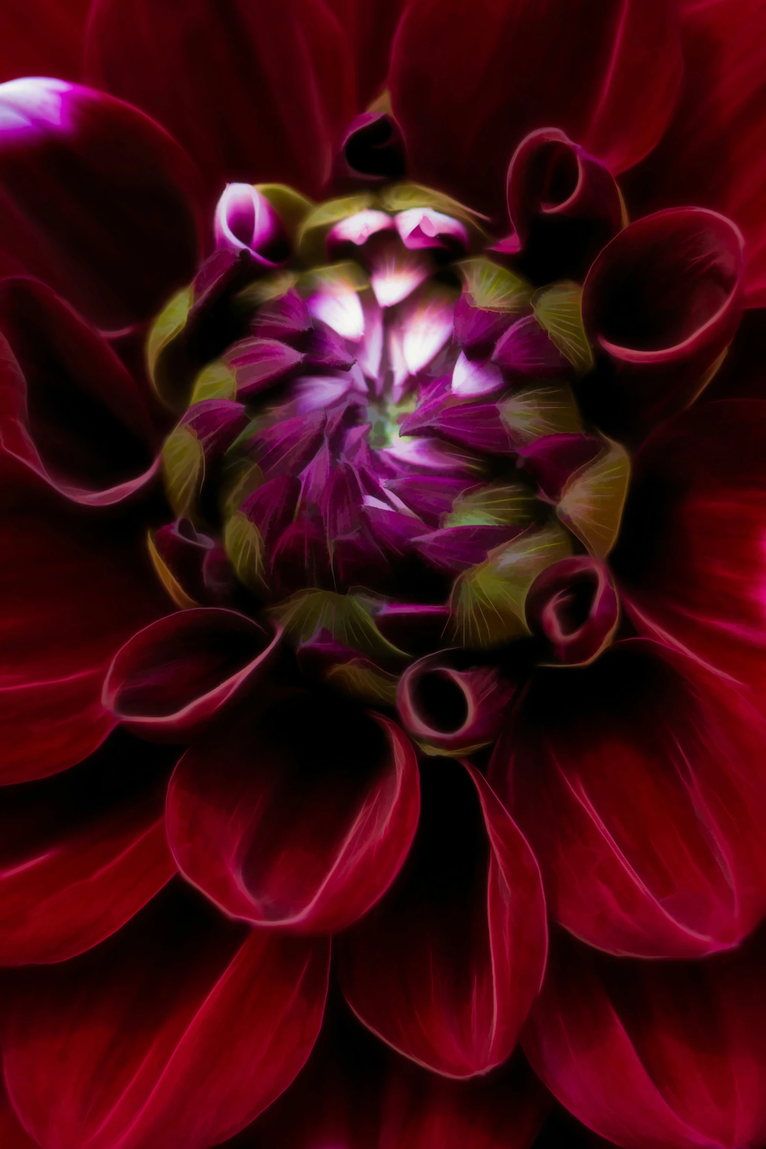 a large red flower has many petals on it