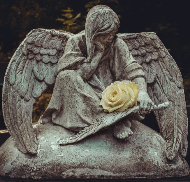 an angel statue holding a rose in his hands